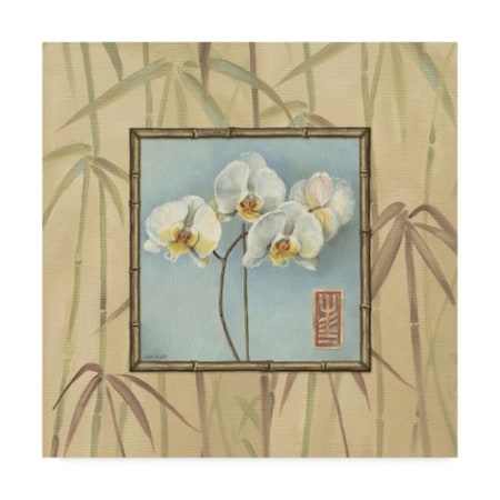 Lisa Audit 'Orchid Spa 4' Canvas Art,14x14